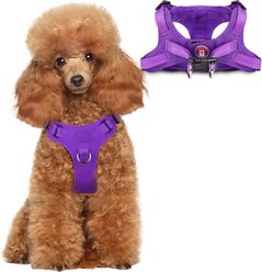 BARKBAY Adjustable Reflective Step In No Pull Small & Medium Dog Vest Harness, Purple, X-Small: 12.5 to 18.5-in chest