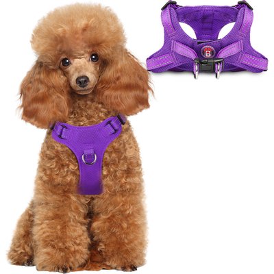 BARKBAY BARKBAY Adjustable Reflective Step In No Pull Small & Medium Dog Vest Harness, Purple, X-Small: 12.5 to 18.5-in chest
