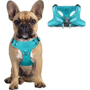 BARKBAY Adjustable Reflective Step In No Pull Small & Medium Dog Vest Harness, Ocean Blue, Small: 15 to 22-in chest