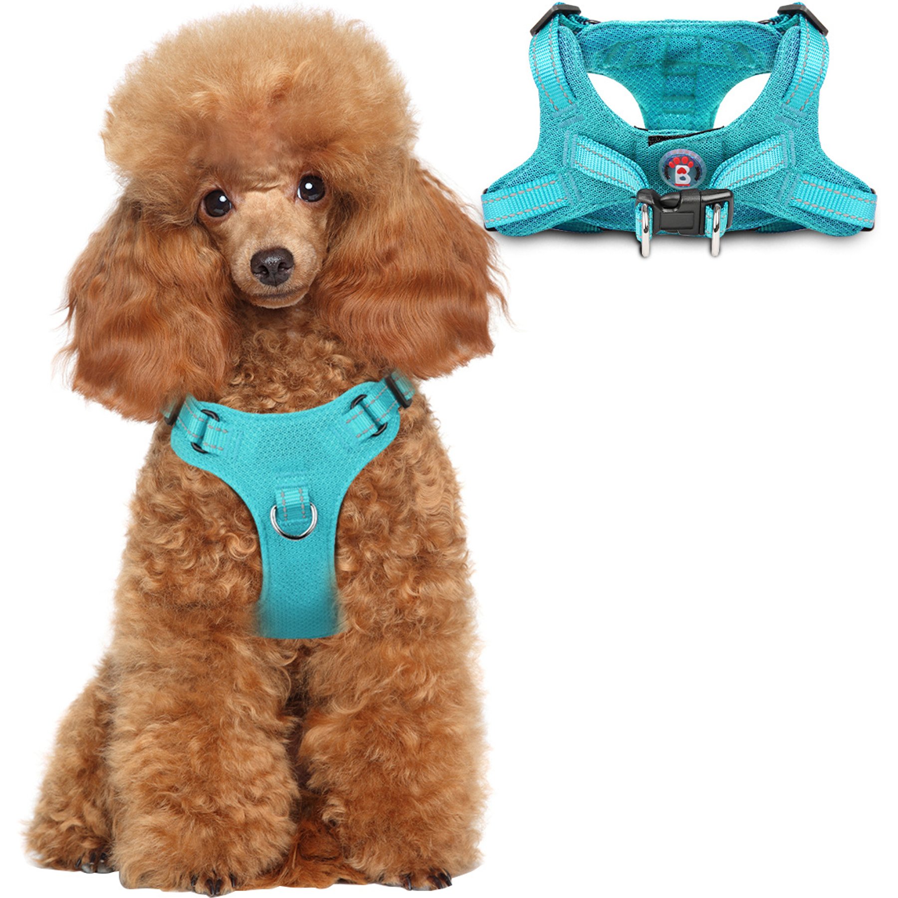 BARKBAY Adjustable Reflective Step In No Pull Small & Medium Dog Vest Harness, Ocean Blue, X-Small: 12.5 to 18.5-in chest