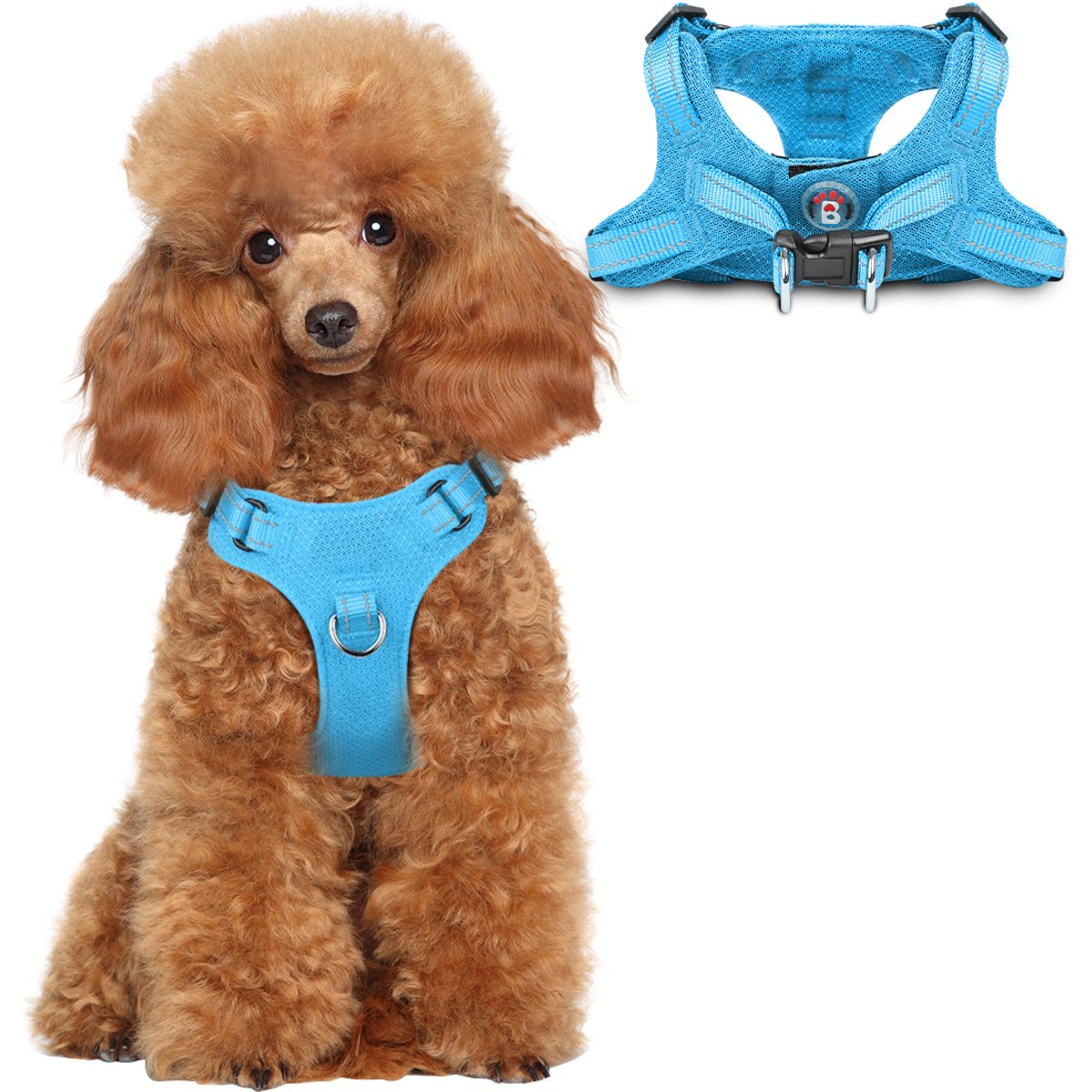 BARKBAY Adjustable Reflective Step In No Pull Small & Medium Dog Vest Harness, Blue, X-Small: 12.5 to 18.5-in chest