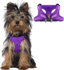 BARKBAY Adjustable Reflective Step In No Pull Small & Medium Dog Vest Harness, Purple, XX-Small: 10.5 to 14.2-in chest