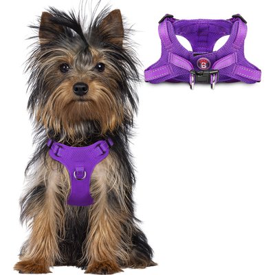 BARKBAY BARKBAY Adjustable Reflective Step In No Pull Small & Medium Dog Vest Harness, Purple, XX-Small: 10.5 to 14.2-in chest