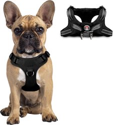 BARKBAY Adjustable Reflective Step In No Pull Small & Medium Dog Vest Harness, Black, Small: 15 to 21-in chest