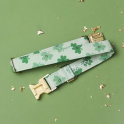 Zaley Designs St. Patricks Day Shamrock Smiles Adjustable Cotton Dog Collar, Green, Large slide 2 of 5