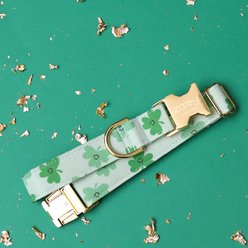 Zaley Designs St. Patricks Day Shamrock Smiles Adjustable Cotton Dog Collar, Green, Small slide 2 of 5