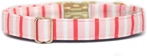 Show full view: Zaley Designs Pink/Red/White Stripes Adjustable Cotton Dog Collar, Small slide 2 of 4