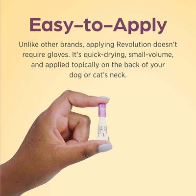 Show full view: Revolution Topical Solution for Kittens & Puppies, under 5 lbs, (Mauve Box), 12 Doses (12-mos. supply) slide 6 of 11