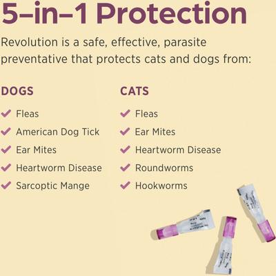 Show full view: Revolution Topical Solution for Kittens & Puppies, under 5 lbs, (Mauve Box), 12 Doses (12-mos. supply) slide 3 of 11