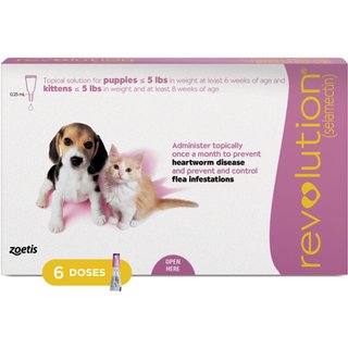 Revolution Topical Solution for Kittens & Puppies, under 5 lbs, (Mauve Box), 6 Doses (6-mos. supply) slide 1 of 8