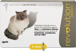 Revolution Topical Solution for Cats, 15.1-22 lbs (Taupe Box), 1 Dose (1-mo. supply)