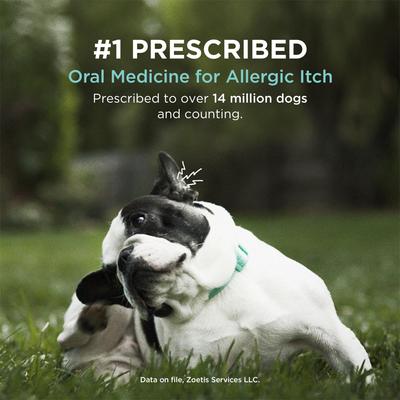 Show full view: Apoquel (oclacitinib) Tablets for Dogs, 3.6-mg, 90 Tablets slide 4 of 13