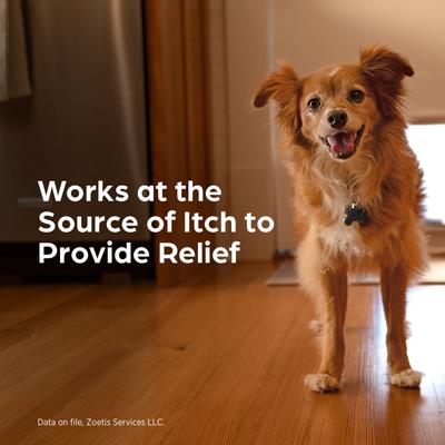 Show full view: Apoquel (oclacitinib chewable tablet) Chewable for Dogs, 5.4mg, 30 tablets slide 6 of 11