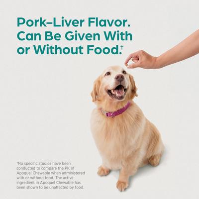 Show full view: Apoquel (oclacitinib chewable tablet) Chewable for Dogs, 5.4mg, 30 tablets slide 8 of 11