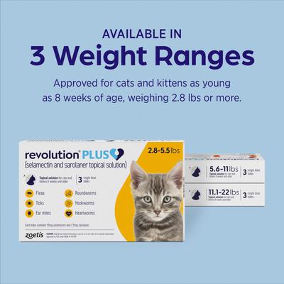 Revolution Plus Topical Solution for Cats, 11.1-22 lbs, (Green Box)