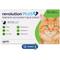 Show in main carousel: Revolution Plus Topical Solution for Cats, 11.1-22 lbs, (Green Box), 12 Doses (12-mos. supply) slide 1 of 12