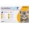 Show in main carousel: Revolution Plus Topical Solution for Cats, 2.8-5.5 lbs, (Gold Box), 6 Doses (6-mos. supply) slide 1 of 12