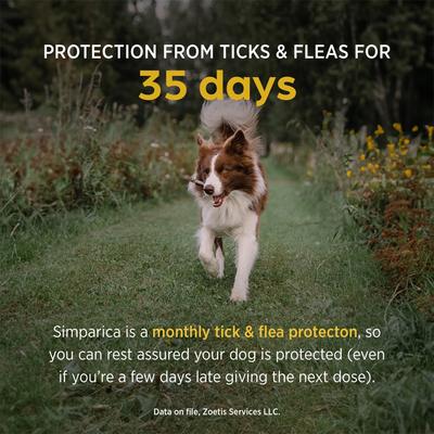 Show full view: Simparica Chewable Tablet for Dogs, 2.8-5.5 lbs, (Yellow Box), 3 Chewable Tablets (3-mos. supply) slide 3 of 11