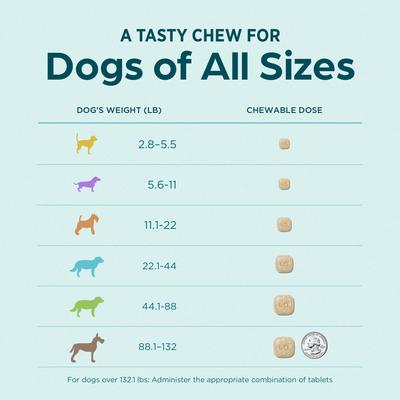 Show full view: Simparica Chewable Tablet for Dogs, 2.8-5.5 lbs, (Yellow Box), 3 Chewable Tablets (3-mos. supply) slide 7 of 11