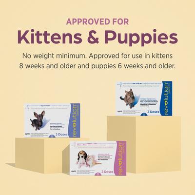 Show full view: Revolution Topical Solution for Kittens & Puppies, under 5 lbs, (Mauve Box), 12 Doses (12-mos. supply) slide 7 of 11