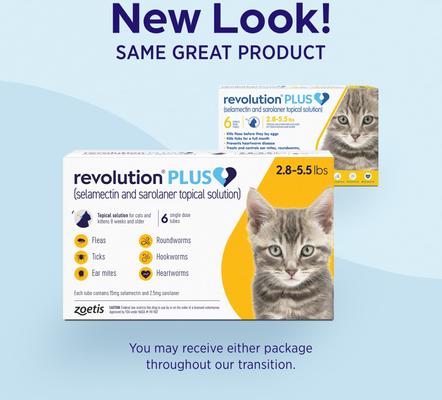 Show full view: Revolution Plus Topical Solution for Cats, 2.8-5.5 lbs, (Gold Box), 6 Doses (6-mos. supply) slide 9 of 12