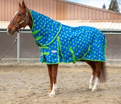 Mackey Equine Accessories Flying Frogs Rain Sheet, Blue/Green, Small