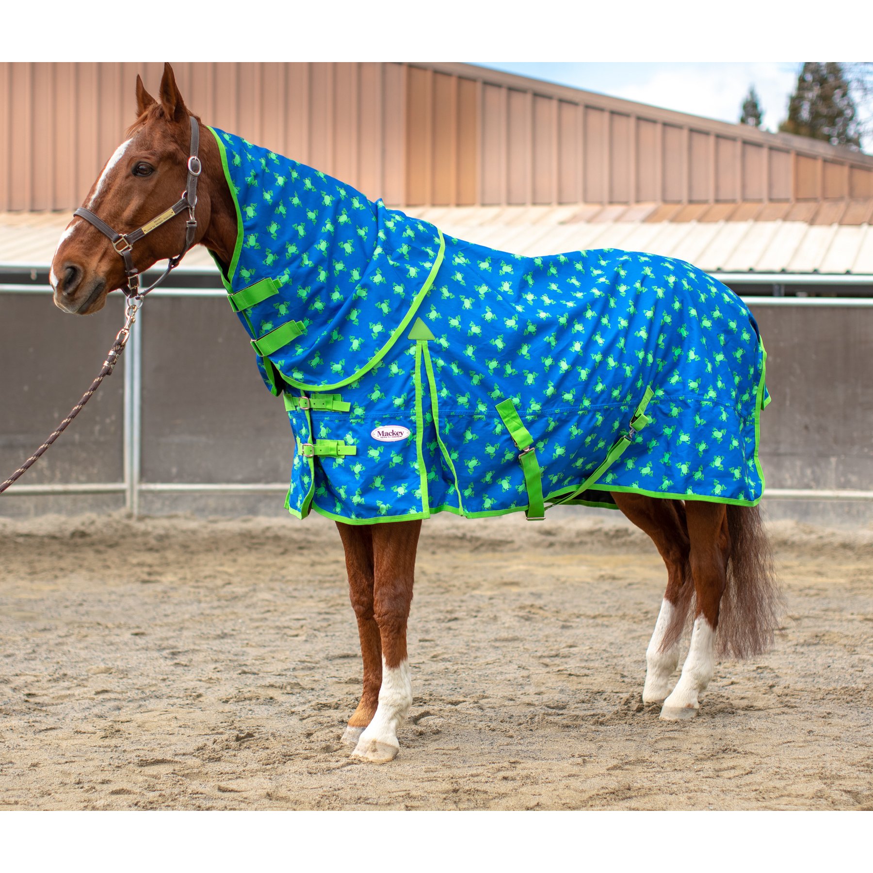 Mackey Equine Accessories Flying Frogs Rain Sheet, Blue/Green, Large