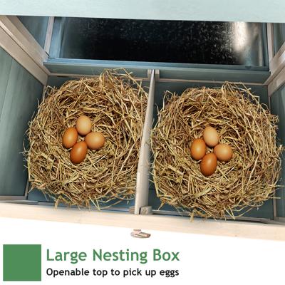 Show full view: Yafylly Wooden All-Weather Asphalt Roof Chicken Coop with Nesting Box & Sliding Tray, Blue, Large slide 6 of 7