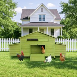 Yafylly Outdoor Wooden Chicken Coop with 2 Free-Range Doors, Nesting Boxes & Perch, Large, Green