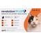 Show in main carousel: Revolution Plus Topical Solution for Cats, 5.6-11 lbs, (Orange Box), 3 Doses (3-mos. supply) slide 1 of 12