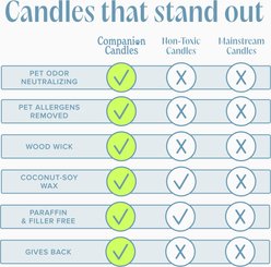 Companion Candles Cuddle Me Cozy Linen, Cotton & Musk Scented Pet-Friendly Candle, Cream, 11.8-oz jar slide 2 of 5