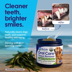 NuLife Natural Pet Health USDA Organic Sea Kelp Powder Dog Dental Supplement, 6-oz slide 2 of 7