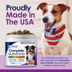 NuLife Natural Pet Health 22-in-1 Beef Flavored Chew Multivitamin for Dogs, 60 count slide 2 of 6