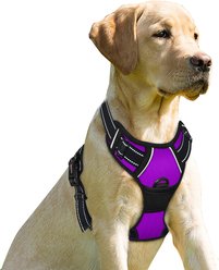 BARKBAY Front Clip Reflective No Pull Dog Harness, Purple, Large: 24.5 to 32.5-in chest