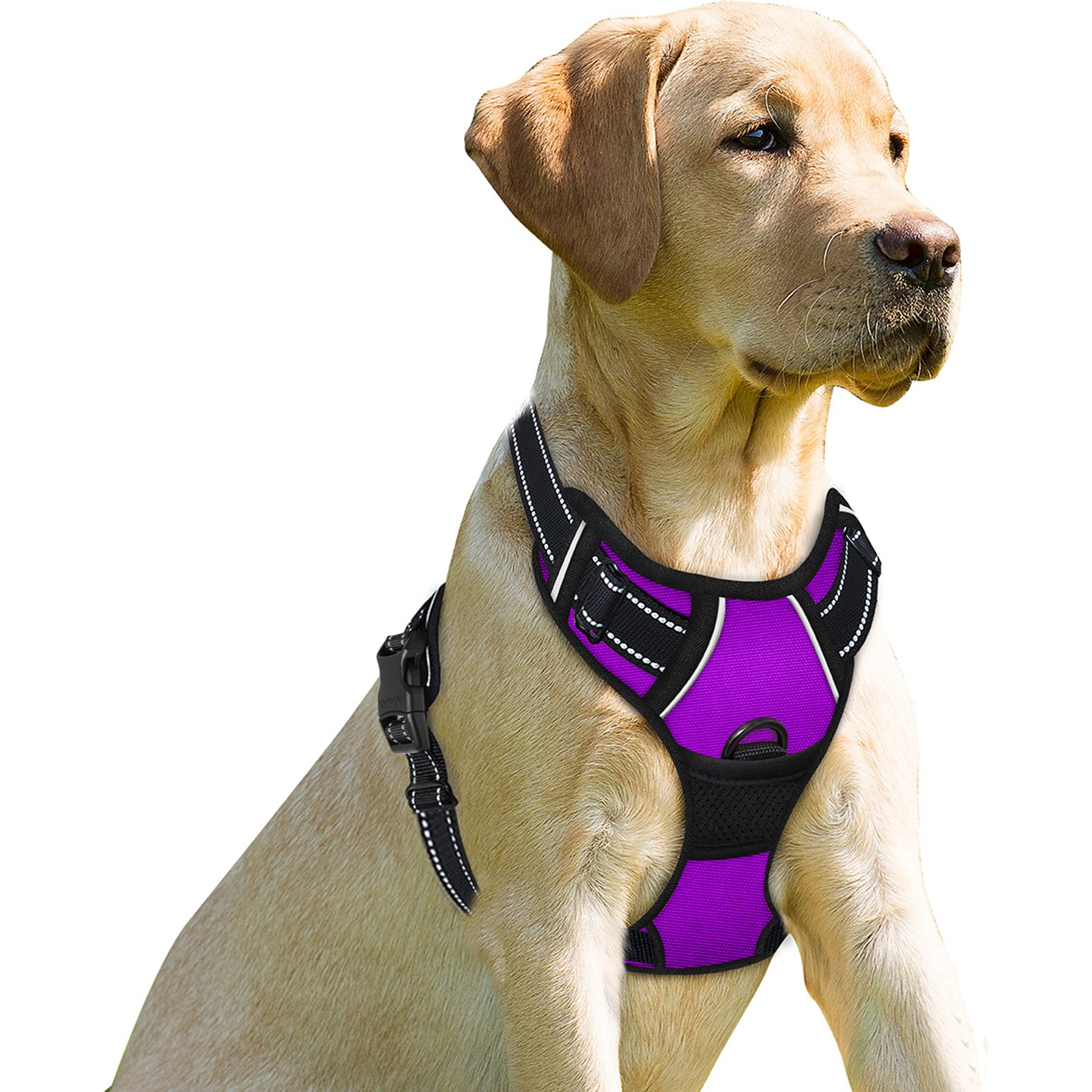 BARKBAY Front Clip Reflective No Pull Dog Harness, Purple, Small: 19.5 to 26-in chest