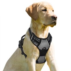 BARKBAY Front Clip Reflective No Pull Dog Harness, Dark Grey, Large: 24.5 to 32.5-in chest
