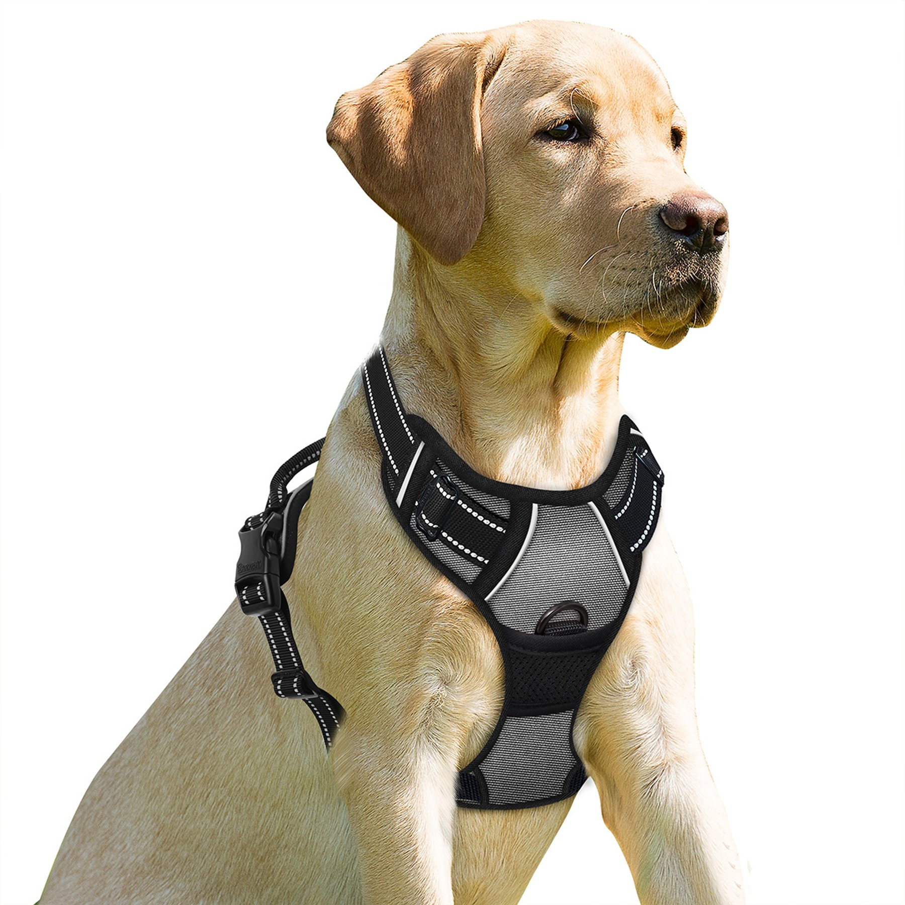 BARKBAY Front Clip Reflective No Pull Dog Harness, Dark Grey, Large: 24.5 to 32.5-in chest