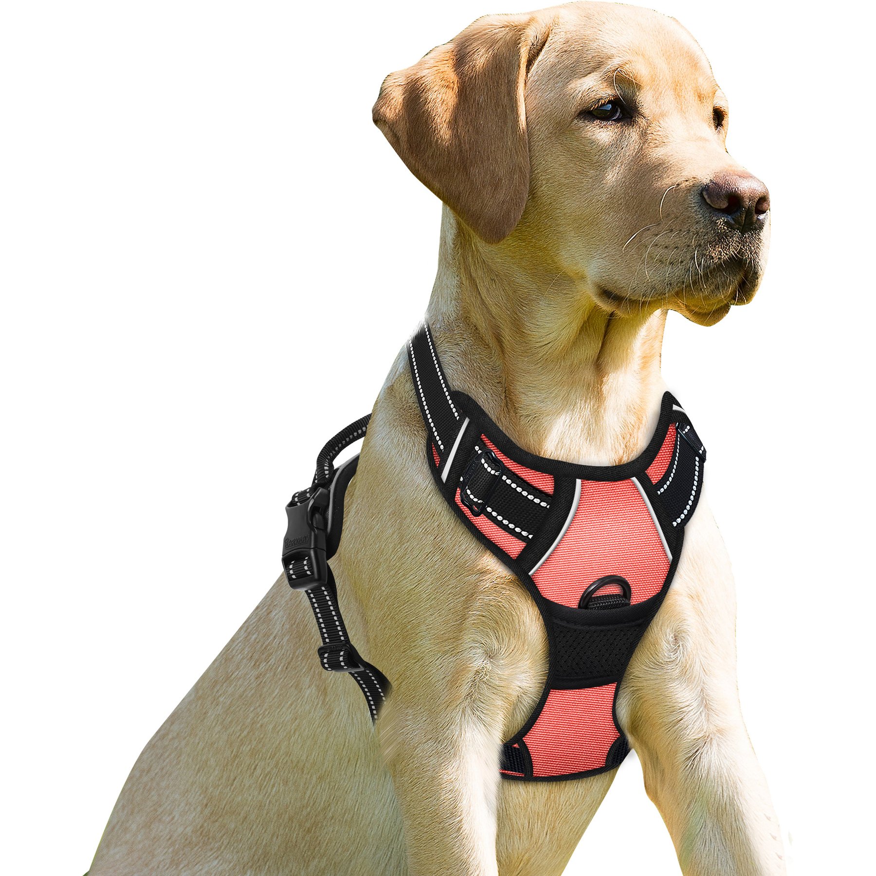 BARKBAY Front Clip Reflective No Pull Dog Harness, Light Pink, Large: 24.5 to 32.5-in chest