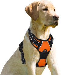 BARKBAY Front Clip Reflective No Pull Dog Harness, Orange, Medium: 22.5 to 28-in chest