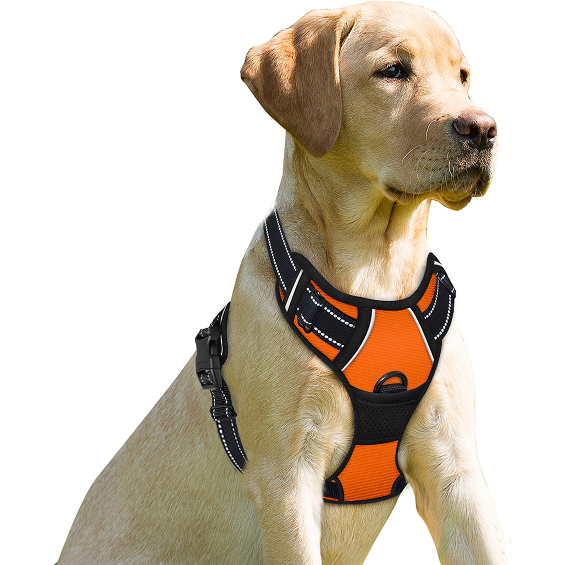 BARKBAY Front Clip Reflective No Pull Dog Harness, Orange, X-Small: 15.5 to 19.5-in chest
