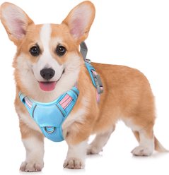 BARKBAY Air Reflective No-Pull Dog Harness with ID Tag Pocket, Baby Blue & Baby Pink, Medium: 22.5 to 28-in chest