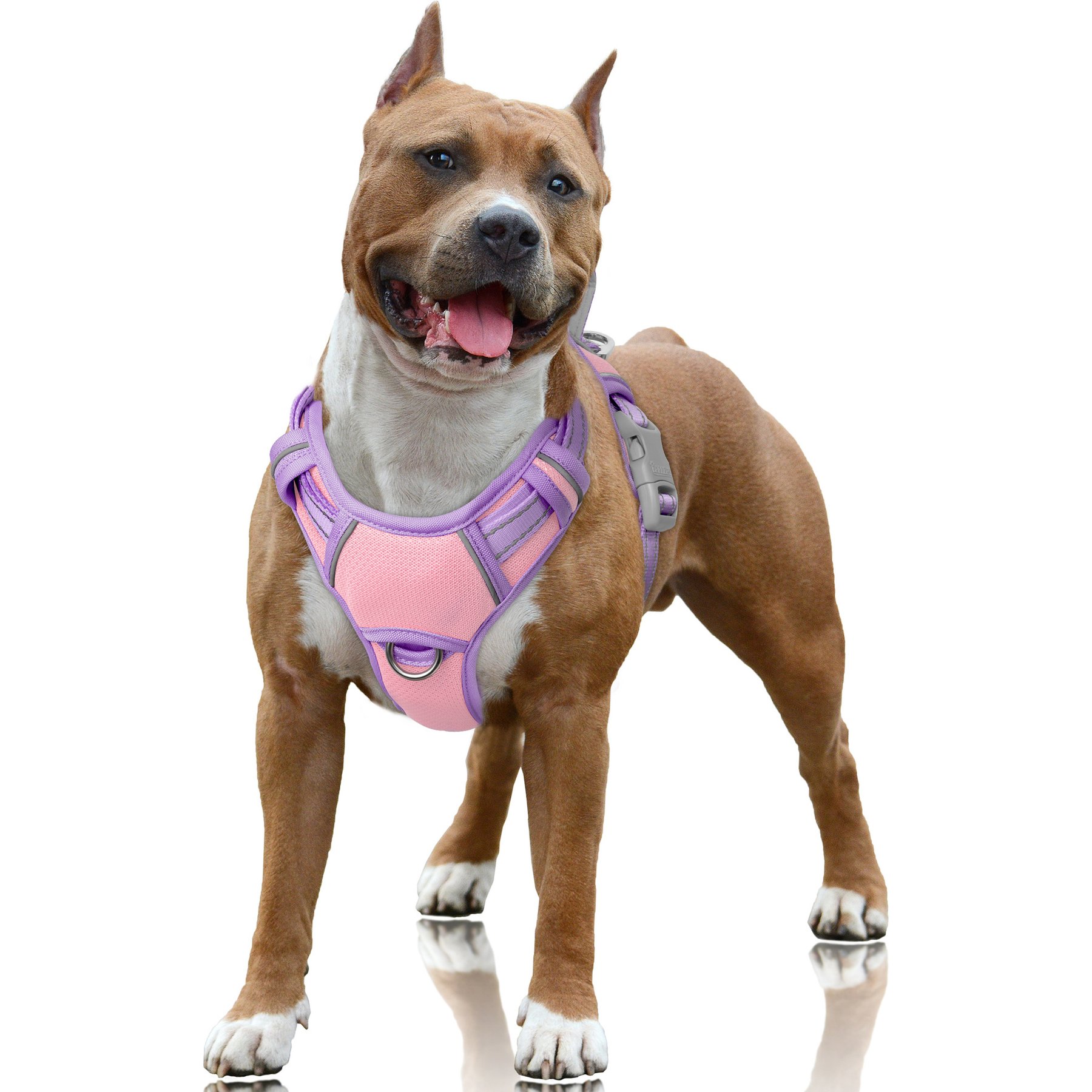 BARKBAY Air Reflective No-Pull Dog Harness with ID Tag Pocket, Baby Pink & Violet Purple, Large: 24.5 to 32.5-in chest