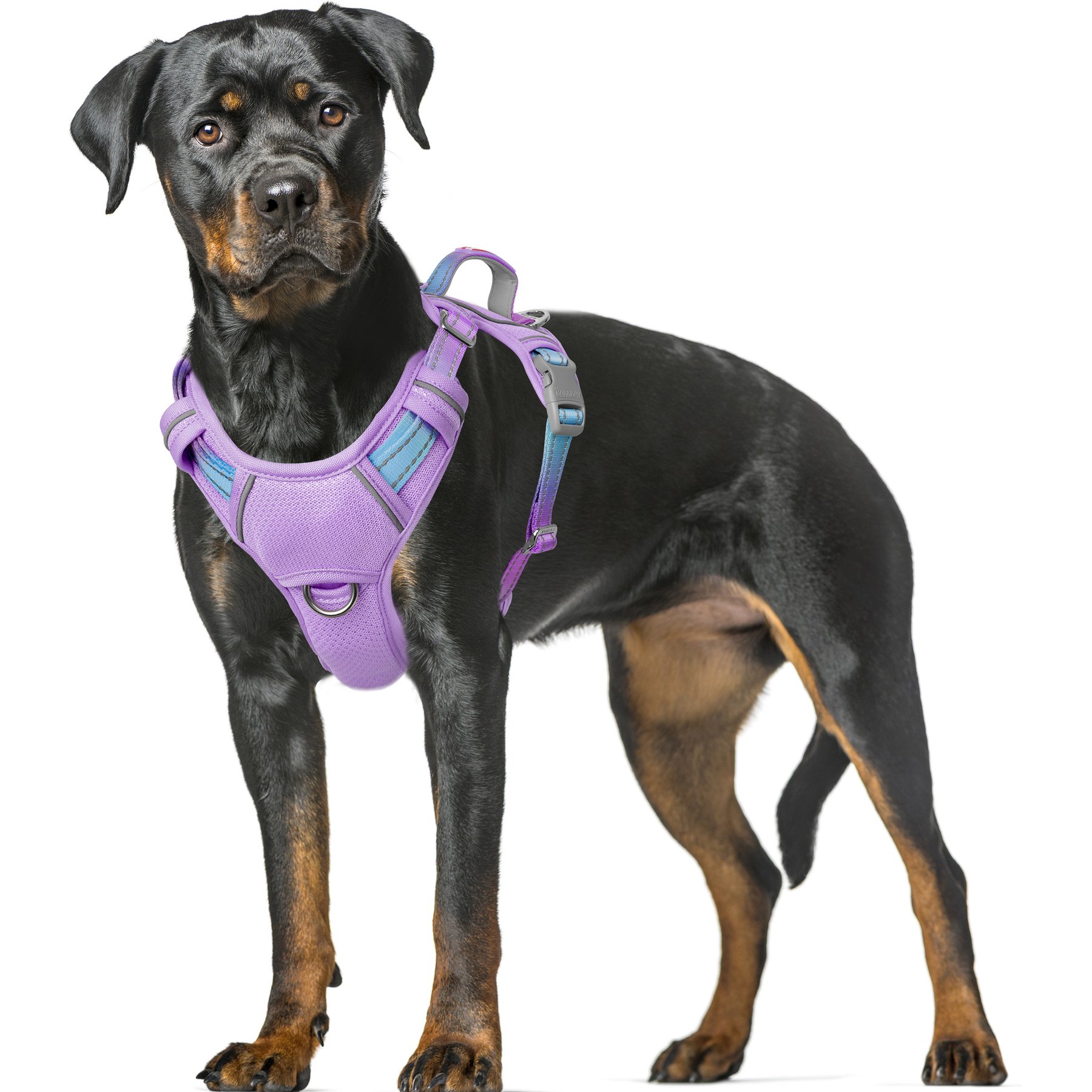 BARKBAY Air Reflective No-Pull Dog Harness with ID Tag Pocket, Lavender Sky, X-Large: 30 to 38-in chest