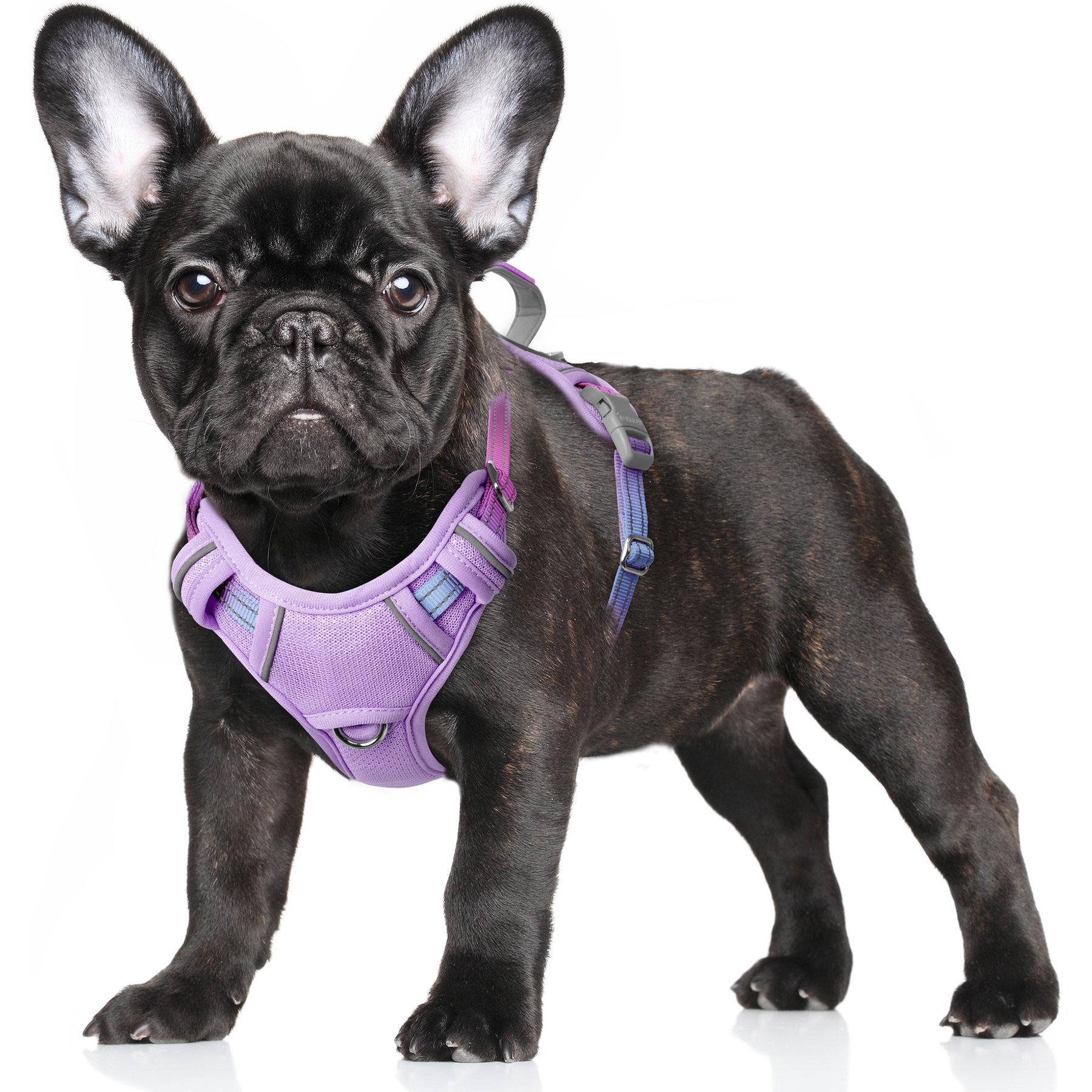 BARKBAY Air Reflective No-Pull Dog Harness with ID Tag Pocket, Lavender Sky, Small: 19.5 to 26-in chest