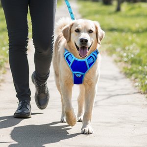 BARKBAY Air Reflective No-Pull Dog Harness with ID Tag Pocket, Sapphire Blue & Blue, Large: 24.5 to 32.5-in chest
