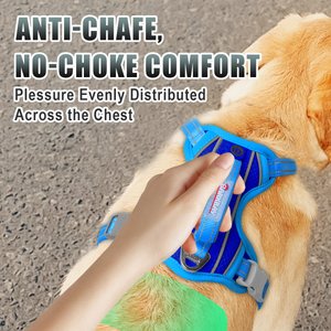 BARKBAY Air Reflective No-Pull Dog Harness with ID Tag Pocket, Sapphire Blue & Blue, Large: 24.5 to 32.5-in chest