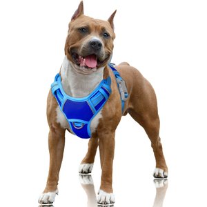 BARKBAY Air Reflective No-Pull Dog Harness with ID Tag Pocket, Sapphire Blue & Blue, Large: 24.5 to 32.5-in chest