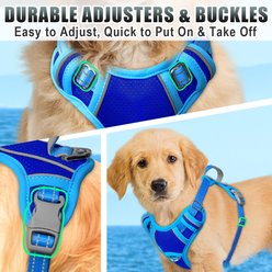 BARKBAY Air Reflective No-Pull Dog Harness with ID Tag Pocket, Sapphire Blue & Blue, Small: 19.5 to 26-in chest slide 2 of 9