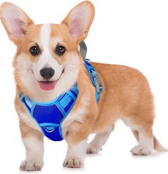 BARKBAY Air Reflective No-Pull Dog Harness with ID Tag Pocket, Sapphire Blue & Blue, Medium: 22.5 to 28-in chest