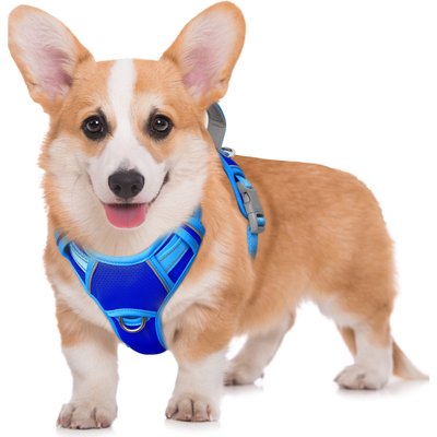 BARKBAY BARKBAY Air Reflective No-Pull Dog Harness with ID Tag Pocket, Sapphire Blue & Blue, Medium: 22.5 to 28-in chest